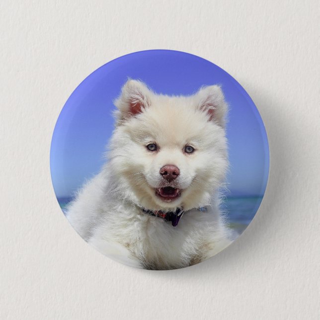 Chapa Redonda De 5 Cm Cachorro finlandés blanco (Anverso)