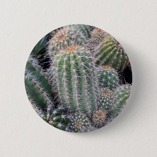 Chapa Redonda De 5 Cm Cactus (Anverso)