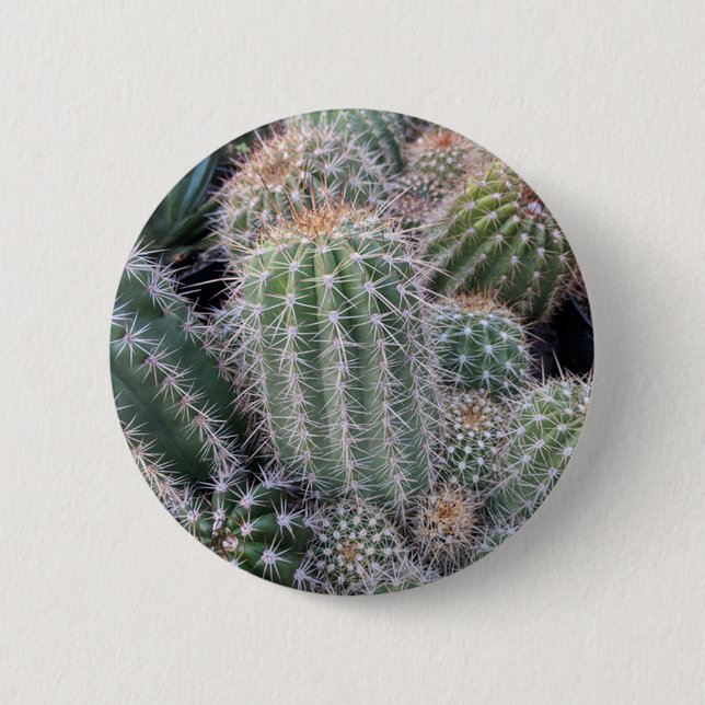 Chapa Redonda De 5 Cm Cactus (Anverso)