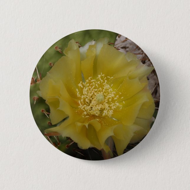 Chapa Redonda De 5 Cm Cactus Amarillo en Flor (Anverso)