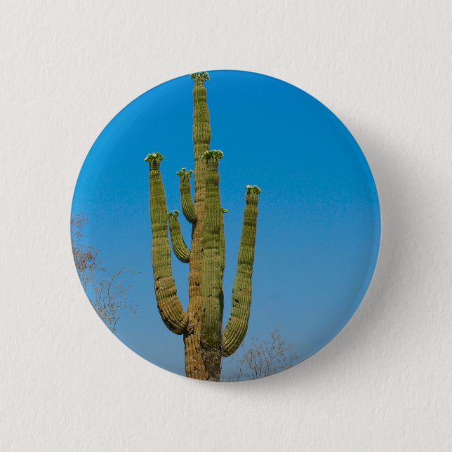 Chapa Redonda De 5 Cm Cactus del Saguaro (Anverso)