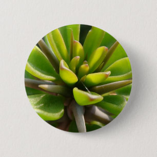 Chapa Redonda De 5 Cm Cactus fresco