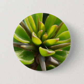 Chapa Redonda De 5 Cm Cactus fresco