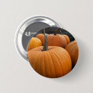 Chapa Redonda De 5 Cm Calabazas Naranja de la cosecha de otoño