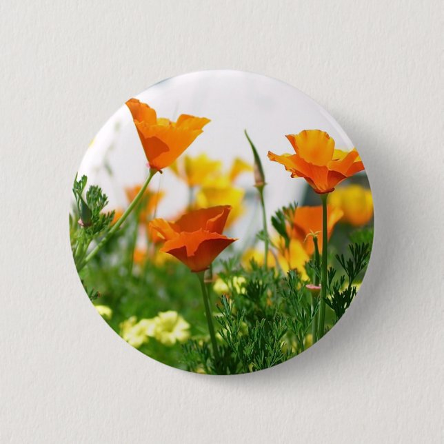 Chapa Redonda De 5 Cm California Poppies (Anverso)