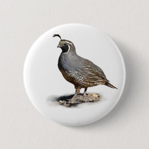 CHAPA REDONDA DE 5 CM CALIFORNIA QUAIL
