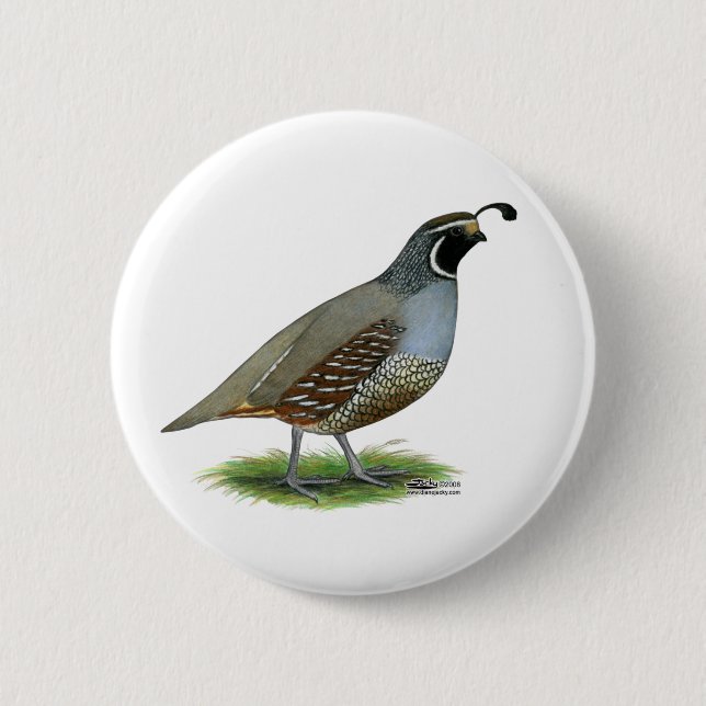 Chapa Redonda De 5 Cm California Valley Quail (Anverso)