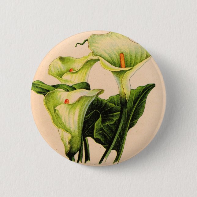 Chapa Redonda De 5 Cm calla lily calla lilies (Anverso)