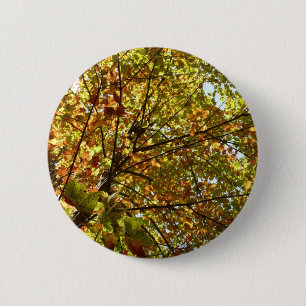 Chapa Redonda De 5 Cm Cambiante color de otoño verde y dorado del arce