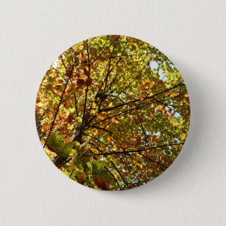 Chapa Redonda De 5 Cm Cambiar el color verde del árbol de arce y el oro