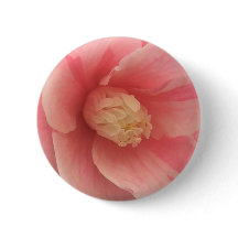 Camellia rosa