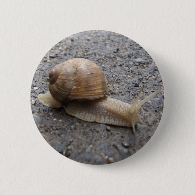 Chapa Redonda De 5 Cm caminata de caracol (Anverso)