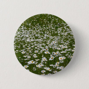 Chapa Redonda De 5 Cm Campo de flores silvestres de Daisies Alaskan