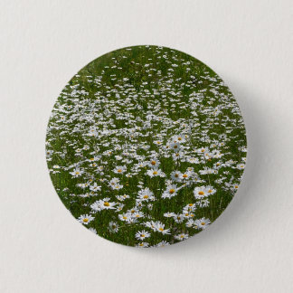 Chapa Redonda De 5 Cm Campo de flores silvestres de Daisies Alaskan