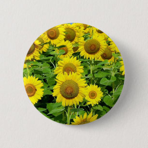 Chapa Redonda De 5 Cm Campos del girasol