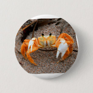 Chapa Redonda De 5 Cm Cangrejo de Fiddler en el naranja de Colorized de
