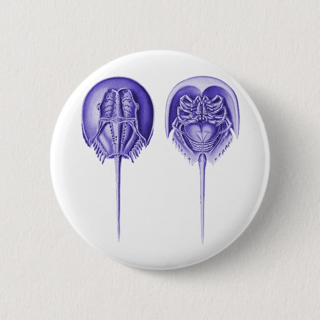 Chapa Redonda De 5 Cm Cangrejo de herradura (Anverso)