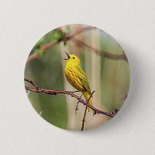 Chapa Redonda De 5 Cm Canto de Warbler amarillo