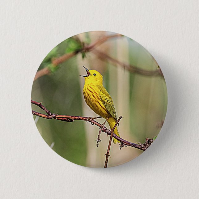Chapa Redonda De 5 Cm Canto de Warbler amarillo (Anverso)