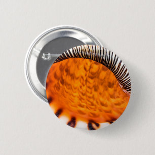 Chapa Redonda De 5 Cm Capa de agua de mar