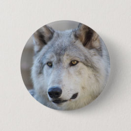 Chapa Redonda De 5 Cm Cara del lobo gris