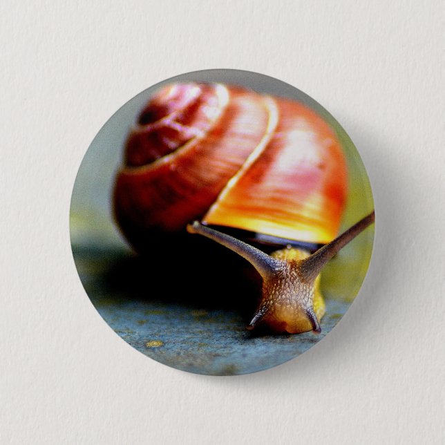 Chapa Redonda De 5 Cm Caracol (Anverso)