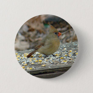 Chapa Redonda De 5 Cm Cardenal (Cardinalis cardinalis) Songbird femenino
