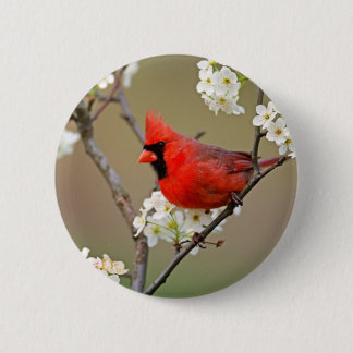 Chapa Redonda De 5 Cm Cardenal rojo