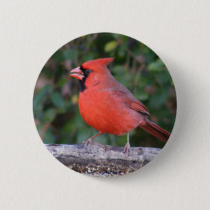 Chapa Redonda De 5 Cm Cardenal rojo brillante