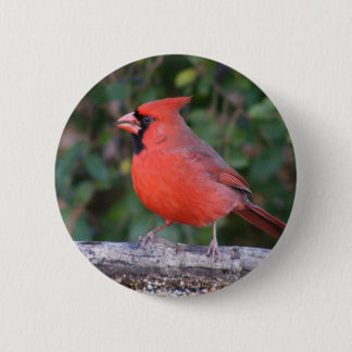 Chapa Redonda De 5 Cm Cardenal rojo brillante