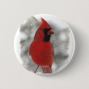 Chapa Redonda De 5 Cm Cardinal