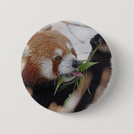 Chapa Redonda De 5 Cm cartón rojo panda tierno