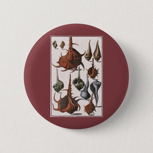 Chapa Redonda De 5 Cm Cascos marinos de época, cáscaras oceánicas Vida m (Anverso)