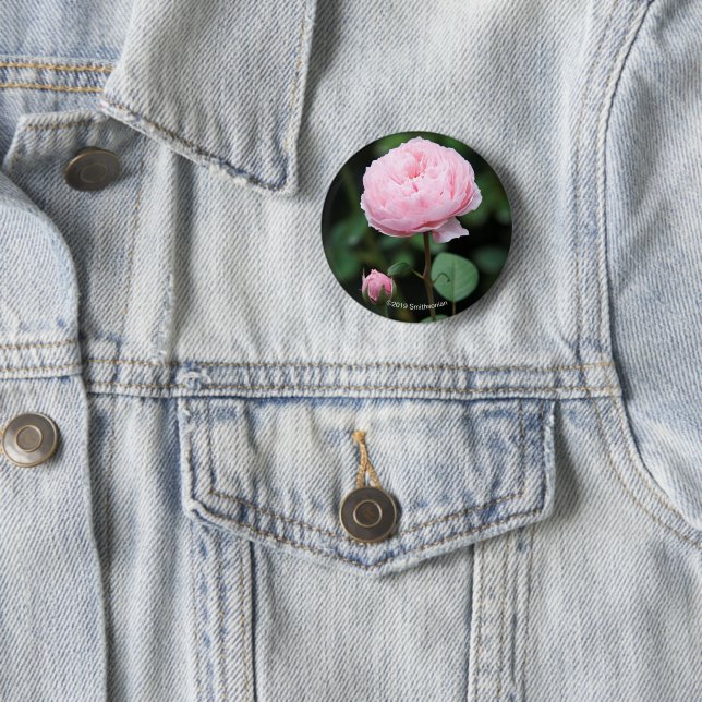 Chapa Redonda De 5 Cm Castillo de Alnwick subió (In situ)