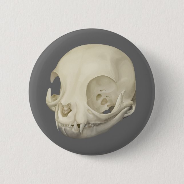 Chapa Redonda De 5 Cm Cat Skull (Anverso)