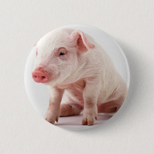 Chapa Redonda De 5 Cm Cerdito