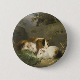 Chapa Redonda De 5 Cm Cerdos de Guinea (por George Morland)