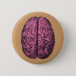 Chapa Redonda De 5 Cm Cerebro humano de la anatomía