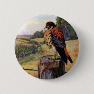 Chapa Redonda De 5 Cm Cernícalos americanos en una cerca del alambre de