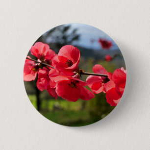 Chapa Redonda De 5 Cm Chaenomeles speciosa Badge