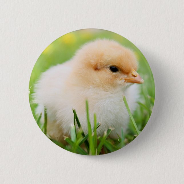 Chapa Redonda De 5 Cm Chick (Anverso)
