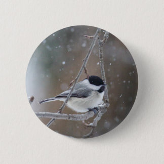 Chapa Redonda De 5 Cm Chickadee con gorra negra - Songbird