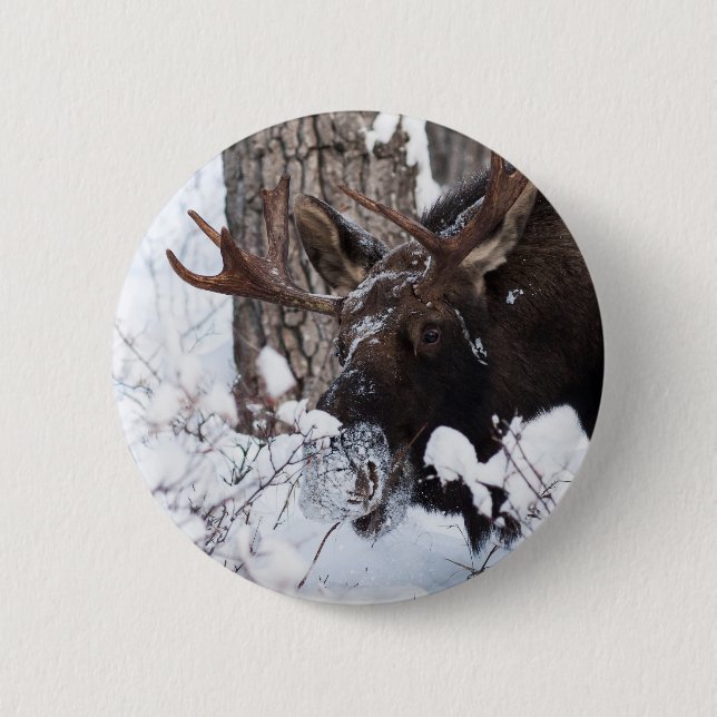 Chapa Redonda De 5 Cm Chilly Moose (Anverso)