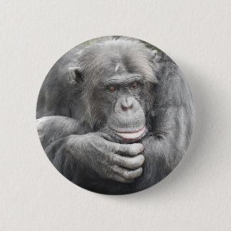 Chapa Redonda De 5 Cm Chimpancé Contemplante