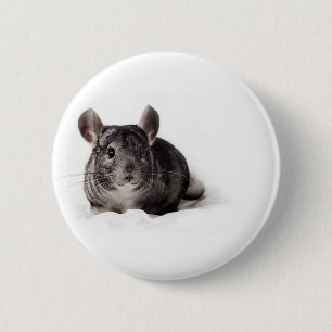 Chapa Redonda De 5 Cm Chinchilla gris linda en manta