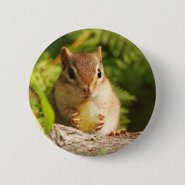 Chapa Redonda De 5 Cm Chipmunk del bebé con bocado (Anverso)