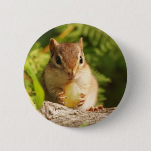 Chapa Redonda De 5 Cm Chipmunk del bebé con bocado