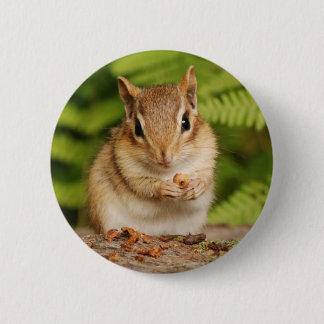 Chapa Redonda De 5 Cm chipmunk dulce del bebé