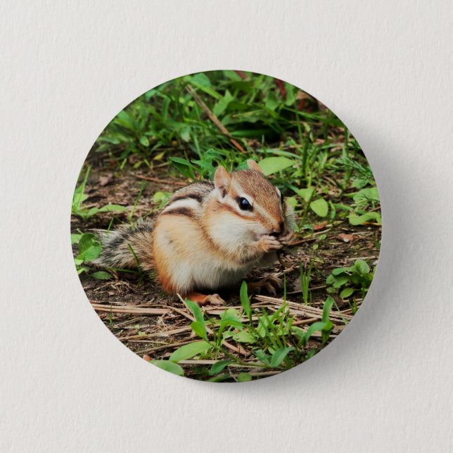 Chapa Redonda De 5 Cm Chipmunk lindo (Anverso)