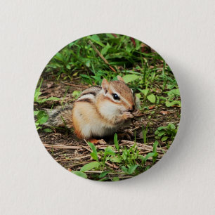 Chapa Redonda De 5 Cm Chipmunk lindo